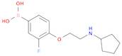 (4-(2-(cyclopentylaMino)ethoxy)-3-fluorophenyl)boronic acid