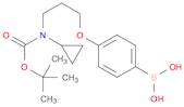 4-(3-(tert-butoxycarbonyl(cyclopropyl)aMino)propoxy)phenylboronic acid