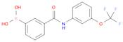 (3-((3-(Trifluoromethoxy)phenyl)carbamoyl)phenyl)boronic acid