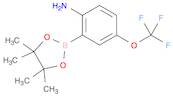 2-(4,4,5,5-Tetramethyl-1,3,2-dioxaborolan-2-yl)-4-(trifluoromethoxy)benzenamine