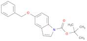 tert-Butyl 5-(benzyloxy)-1H-indole-1-carboxylate