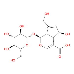 Scandoside