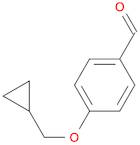 4-(CYCLOPROPYLMETHOXY)BENZALDEHYDE