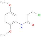 3-chloro-N-(2,5-dimethoxyphenyl)propanamide