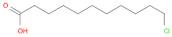 11-CHLORO-UNDECANOIC ACID