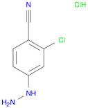 2-chloro-4-hydrazinylbenzonitrile hydrochloride