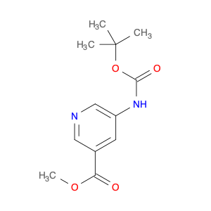 Methyl 5-((tert-butoxycarbonyl)amino)nicotinate