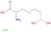 S-(2-BORONOETHYL)-L-CYSTEINE HYDROCHLORIDE