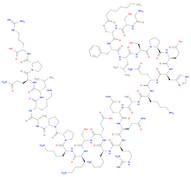 Ghrelin (rat)