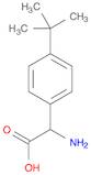 AMINO(4-TERT-BUTYLPHENYL)ACETIC ACID