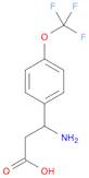 3-AMINO-3-(4-TRIFLUOROMETHOXY-PHENYL)-PROPIONIC ACID