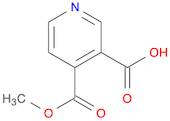 4-(METHOXYCARBONYL)NICOTINIC ACID