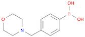 4-(Morpholinomethyl)phenylboronic acid