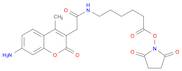 6-((7-AMINO-4-METHYLCOUMARIN-3-ACETYL)AMINO)HEXANOIC ACID, SUCCINIMIDYL ESTER