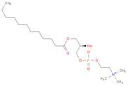 L-α-LYSOPHOSPHATIDYLCHOLINE, LAUROYL