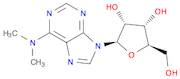 N6,N6-DIMETHYLADENOSINE