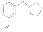 3-(CYCLOPENTYLOXY)BENZALDEHYDE