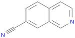 7-Isoquinolinecarbonitrile(9CI)