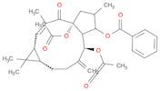 DIACETYL BENZOYL LATHYROL