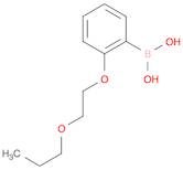 2-(2-Propoxyethoxy)phenylboronic acid