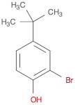 2-BROMO-4-TERT-BUTYLPHENOL