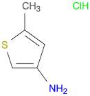 5-Methylthiophen-3-aMine hydrochloride