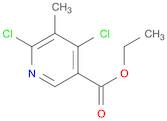 Ethyl 4,6-dichloro-5-Methylnicotinate