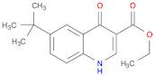 6-tert-Butyl-4-hydroxy-quinoline-3-carboxylic acid ethyl ester