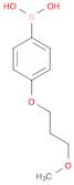 4-(3-Methoxypropoxy)phenylboronic acid