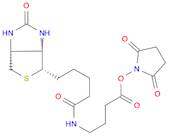 2,5-Dioxopyrrolidin-1-yl 4-(5-((3aS,4S,6aR)-2-oxohexahydro-1H-thieno[3,4-d]iMidazol-4-yl)pentanaMi…