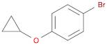 1-BROMO-4-CYCLOPROPOXY-BENZENE