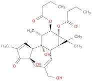 PHORBOL 12,13-DIBUTYRATE