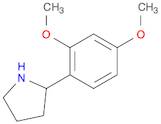 2-(2,4-DIMETHOXYPHENYL)PYRROLIDINE