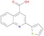 2-THIOPHEN-2-YL-QUINOLINE-4-CARBOXYLIC ACID