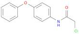 2-CHLORO-N-(4-PHENOXYPHENYL)ACETAMIDE