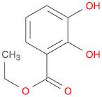 2,3-DIHYDROXY-BENZOIC ACID ETHYL ESTER