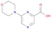 6-MORPHOLIN-4-YLPYRAZINE-2-CARBOXYLIC ACID