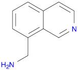 C-ISOQUINOLIN-8-YL-METHYLAMINE