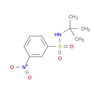 N-T-BUTYL 3-NITROBENZENESULFONAMIDE