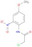 2-CHLORO-N-(4-METHOXY-2-NITRO-PHENYL)-ACETAMIDE