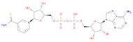 THIONICOTINAMIDE ADENINE DINUCLEOTIDE