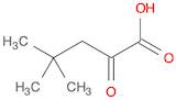 4,4-DIMETHYL-2-OXO-PENTANOIC ACID