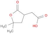 (5,5-DIMETHYL-2-OXO-TETRAHYDRO-FURAN-3-YL)-ACETIC ACID