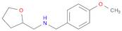 (4-METHOXY-BENZYL)-(TETRAHYDRO-FURAN-2-YLMETHYL)-AMINE