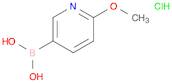 2-Methoxy-5-pyridineboronic acid hydrochloride