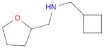 CYCLOBUTYLMETHYL-(TETRAHYDRO-FURAN-2-YLMETHYL)-AMINE