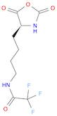 N-[4-[(4S)-2,5-dioxooxazolidin-4-yl]butyl]-2,2,2-trifluoro-acetamide