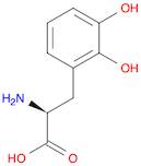 2,3-Dihydroxy-L-Phenylalanine