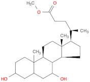 METHYL CHENODEOXYCHOLATE