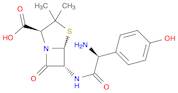 L-Amoxicillin